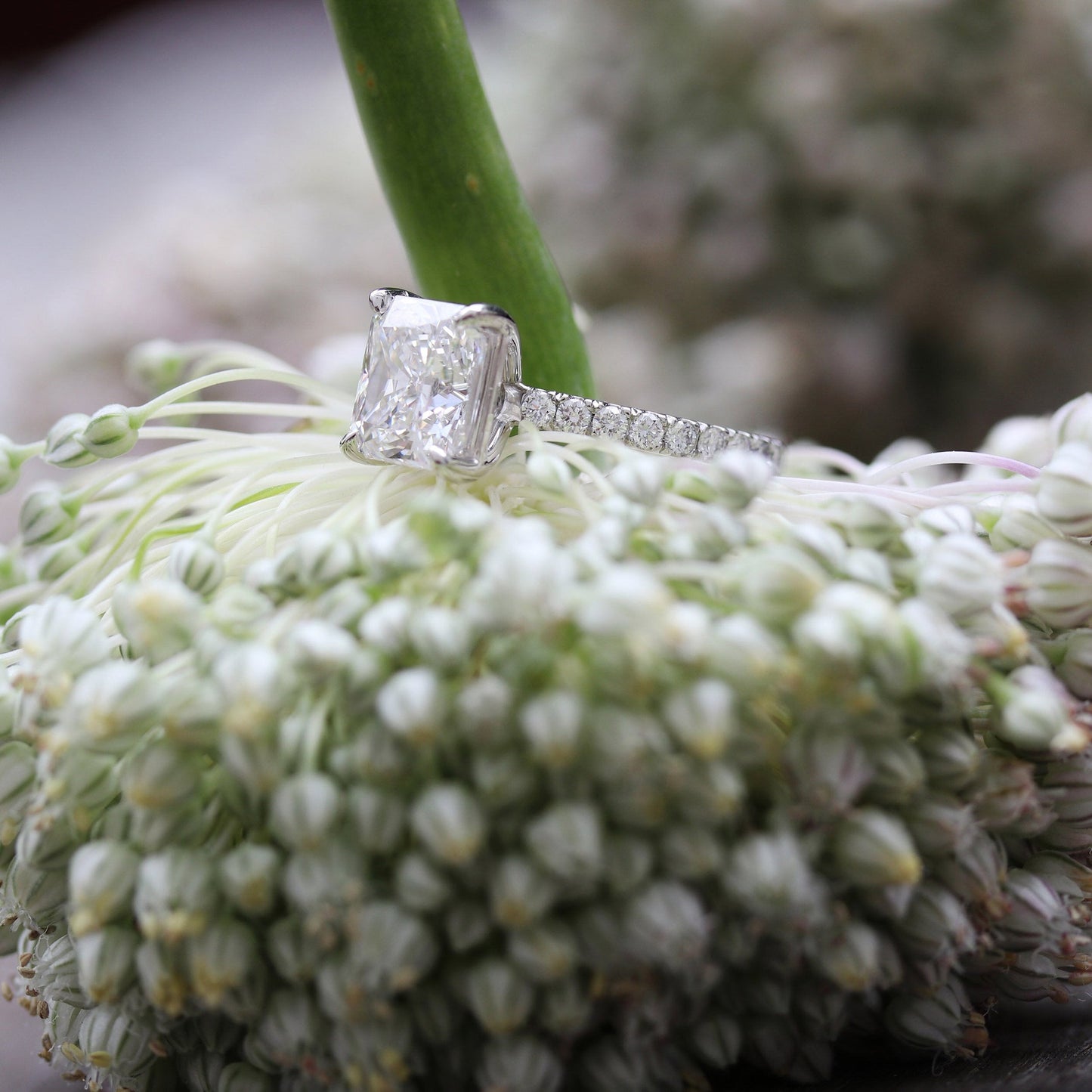 Stunning Princess Cut Moissanite Anniversary Ring